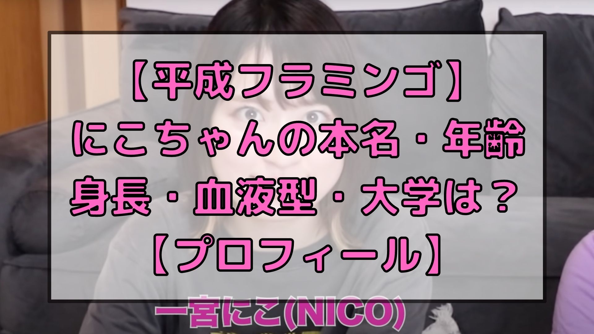 平成フラミンゴ にこちゃんの本名 年齢 身長 血液型 大学は プロフィール アイドルと韓国と美容とその他